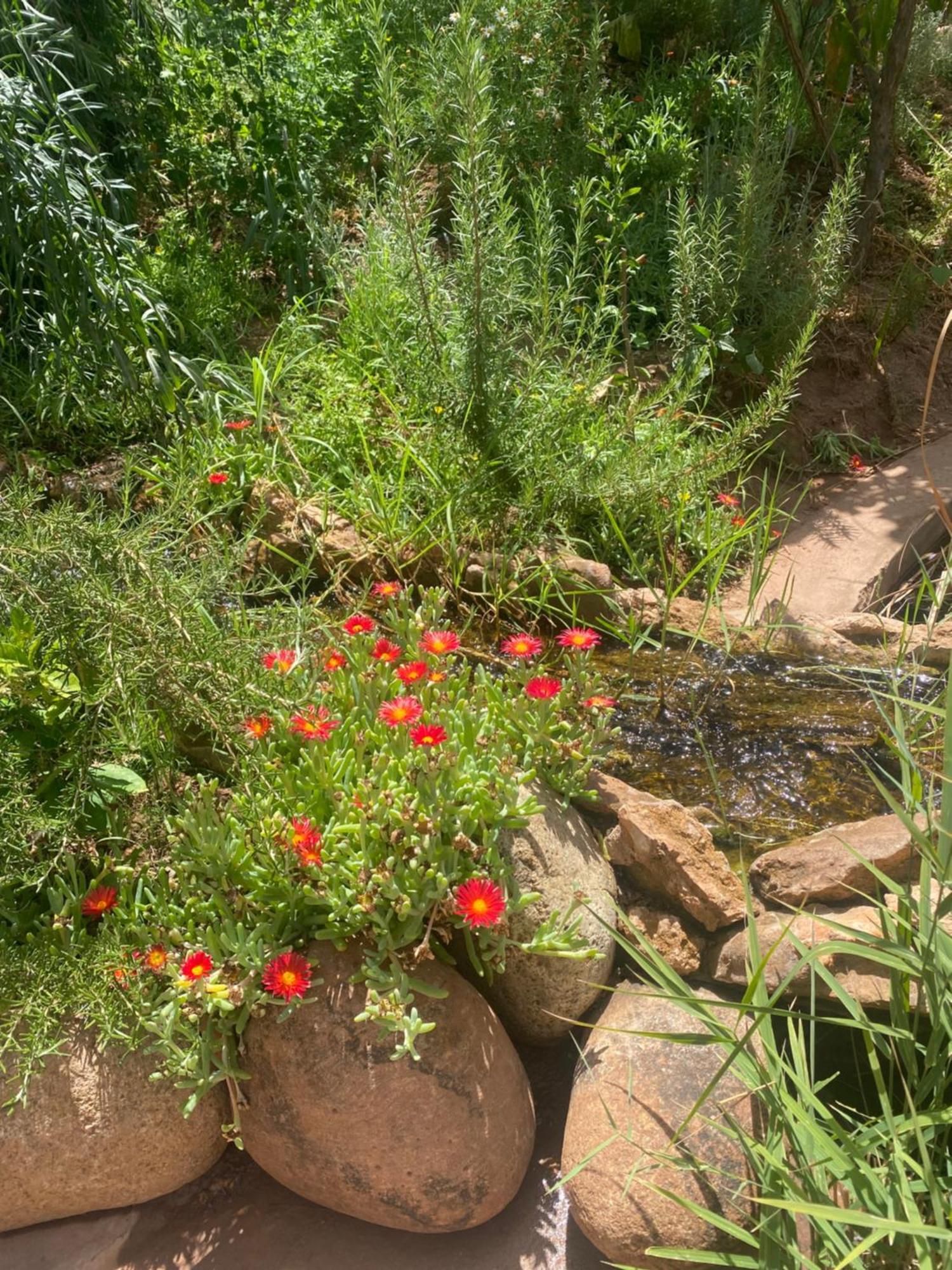 Jardin Sakina - Chambre D'Hotes Oulad Moumene Exteriér fotografie